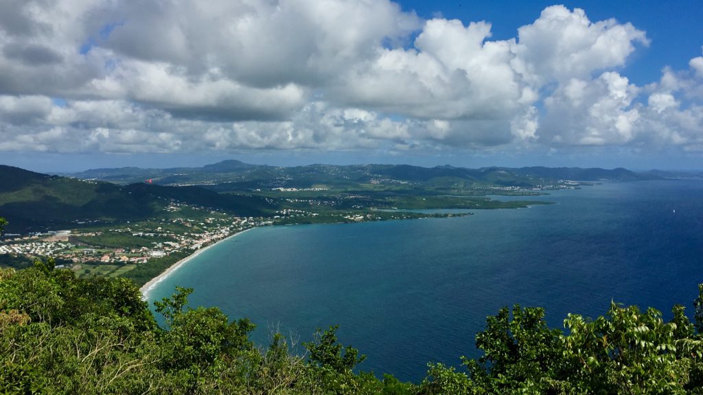 Conseils pour bien choisir sa location de voiture en Martinique